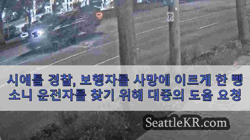 시애틀 경찰, 보행자를 사망에 이르게 한 뺑소니 운전자를 찾기 위해