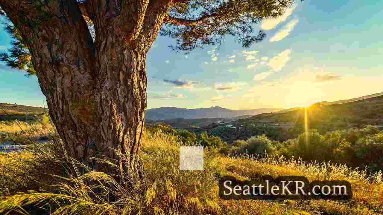 시애틀 뉴스 SeattleKR