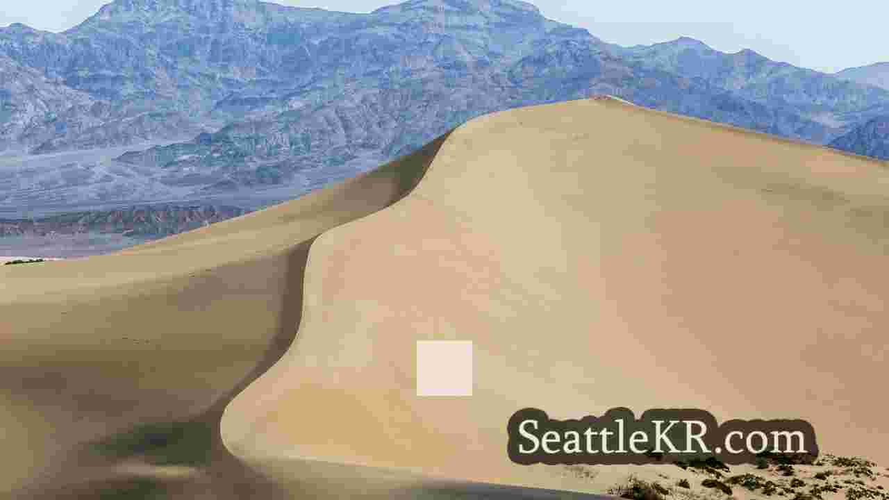 시애틀 뉴스 SeattleKR