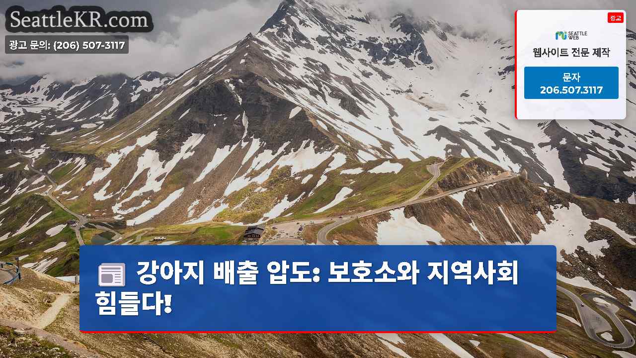 시애틀 뉴스 SeattleKR