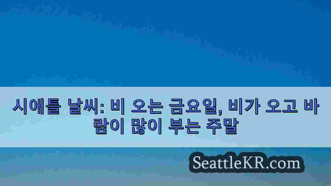 시애틀 날씨: 비 오는 금요일, 비가 오고 바람이 많이 부는 주말