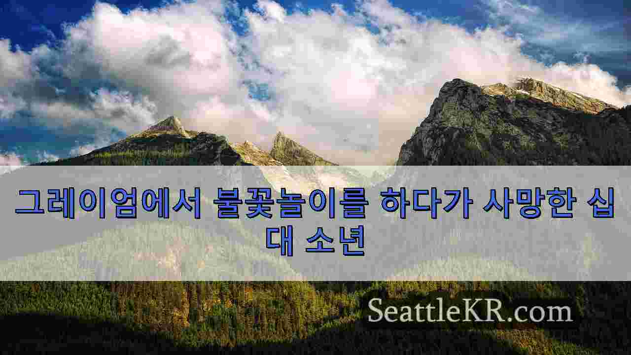 시애틀 뉴스 SeattleKR