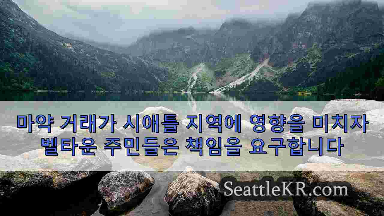 시애틀 뉴스 SeattleKR
