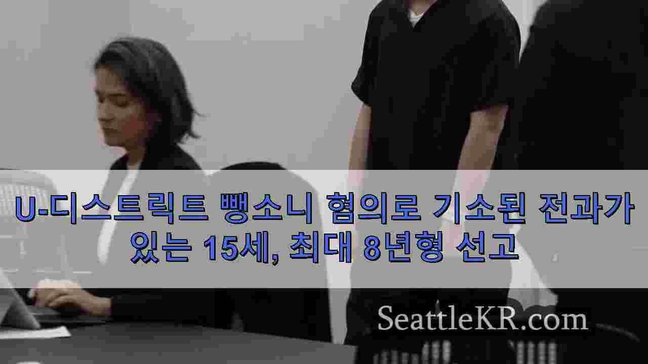 U-디스트릭트 뺑소니 혐의로 기소된 전과가 있는 15세, 최대 8년형