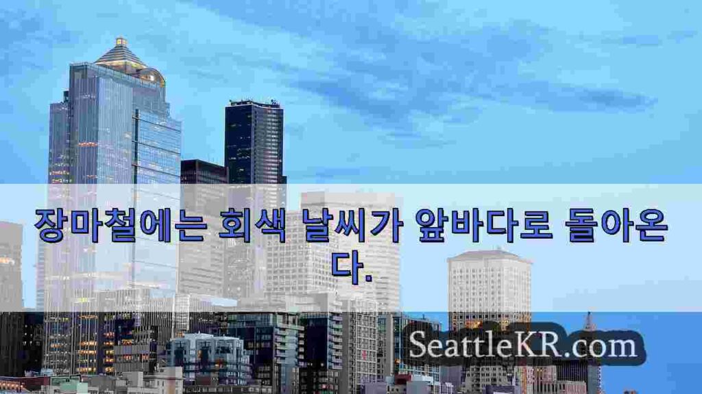 장마철에는 회색 날씨가 앞바다로 돌아온다.