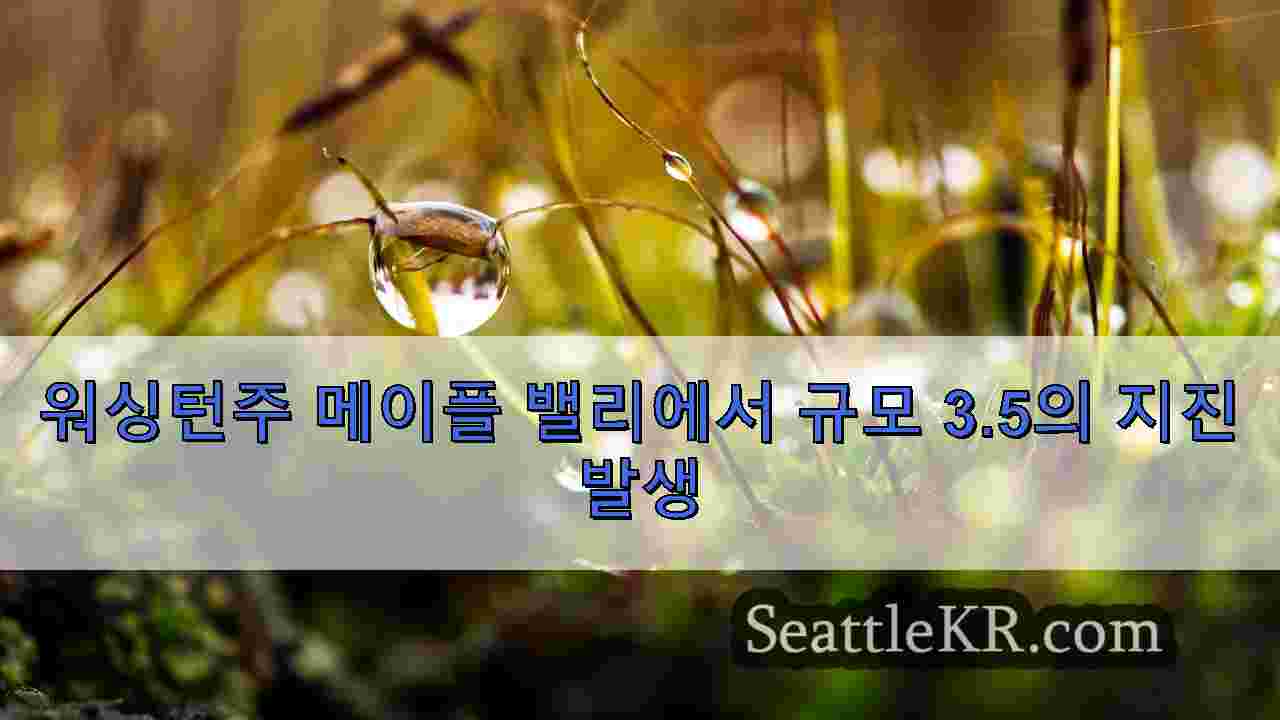 시애틀 뉴스 SeattleKR