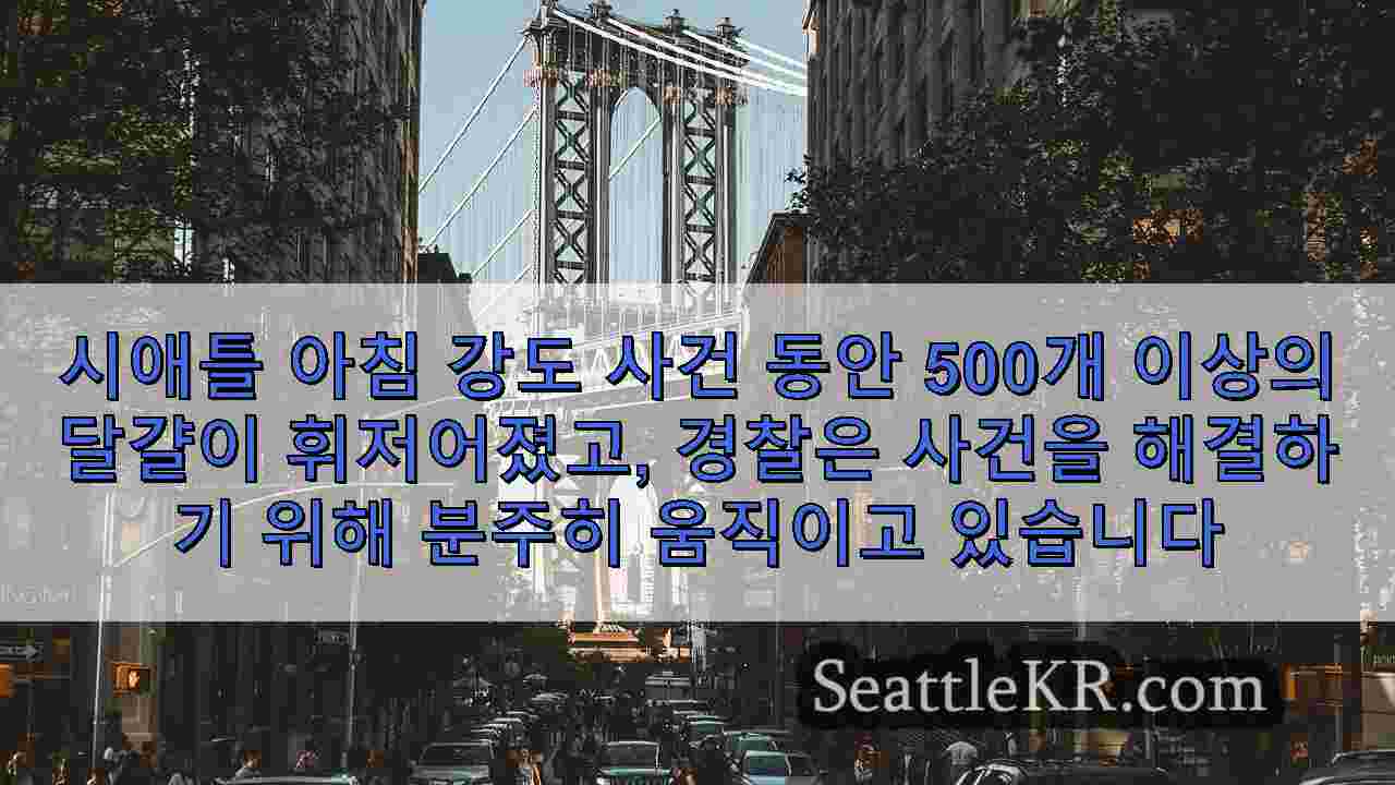 시애틀 뉴스 SeattleKR