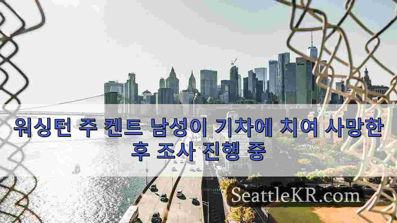 시애틀 뉴스 SeattleKR