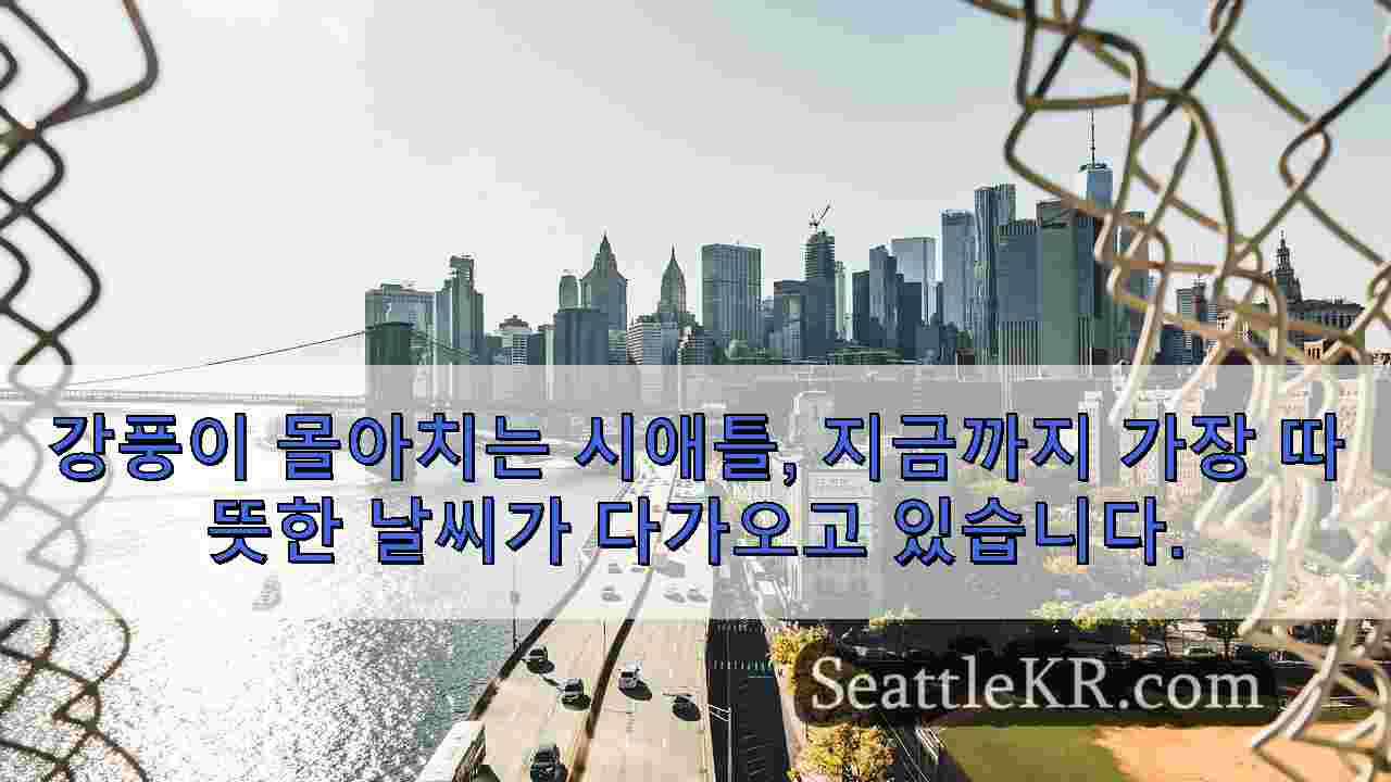 시애틀 뉴스 SeattleKR