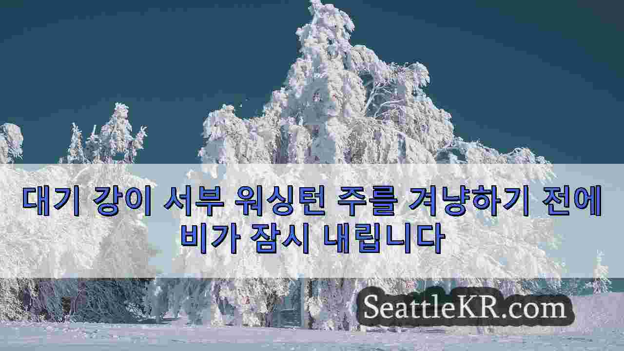 시애틀 뉴스 SeattleKR