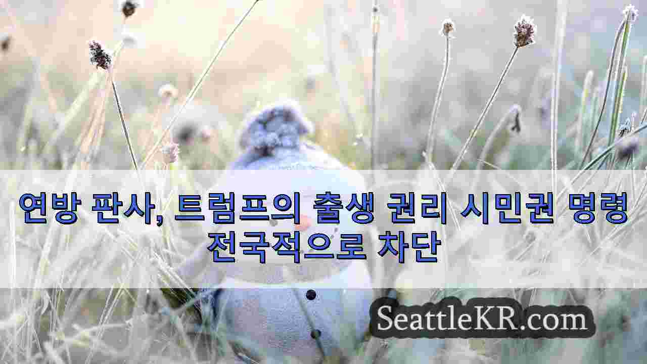 시애틀 뉴스 SeattleKR