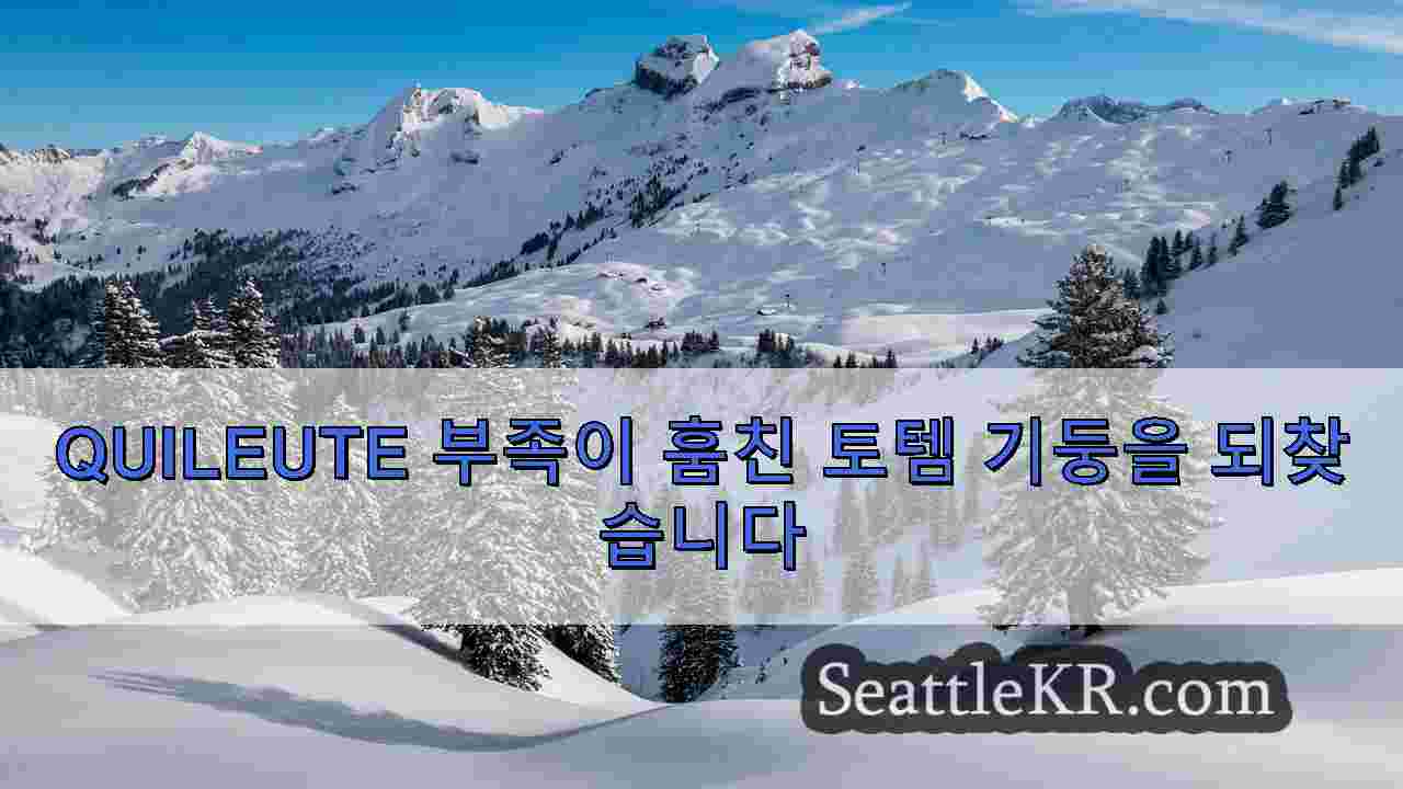 시애틀 뉴스 SeattleKR