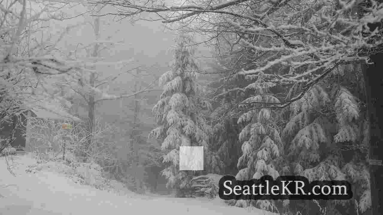시애틀 뉴스 SeattleKR