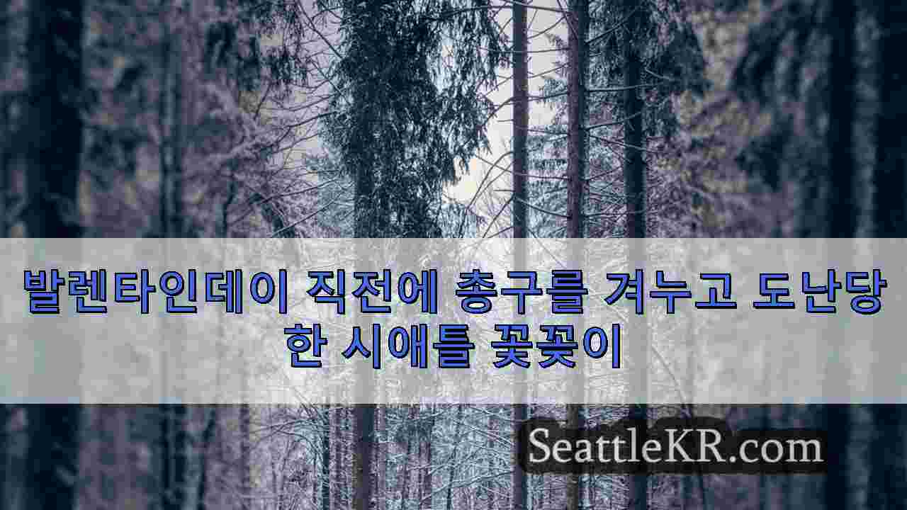 시애틀 뉴스 SeattleKR