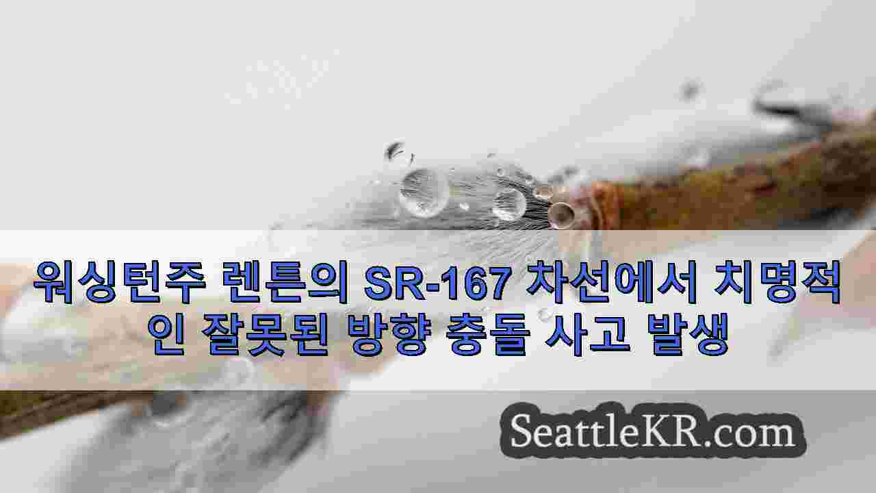 시애틀 뉴스 SeattleKR