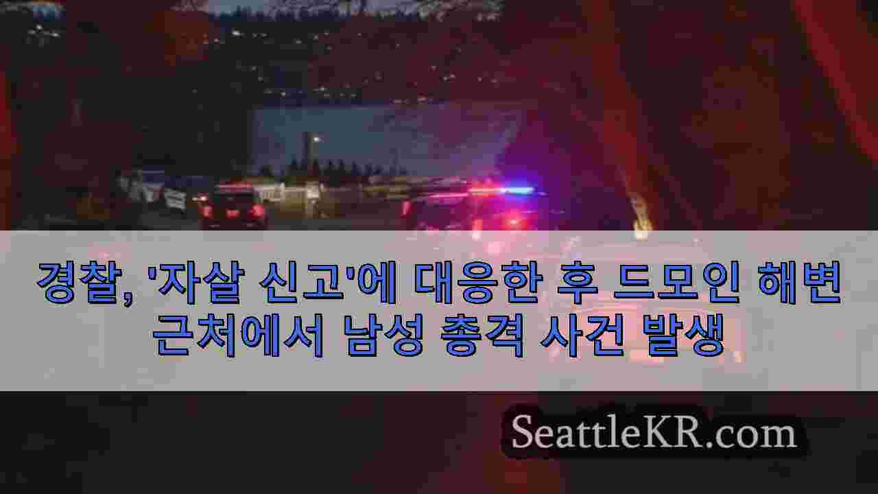 시애틀 뉴스 SeattleKR