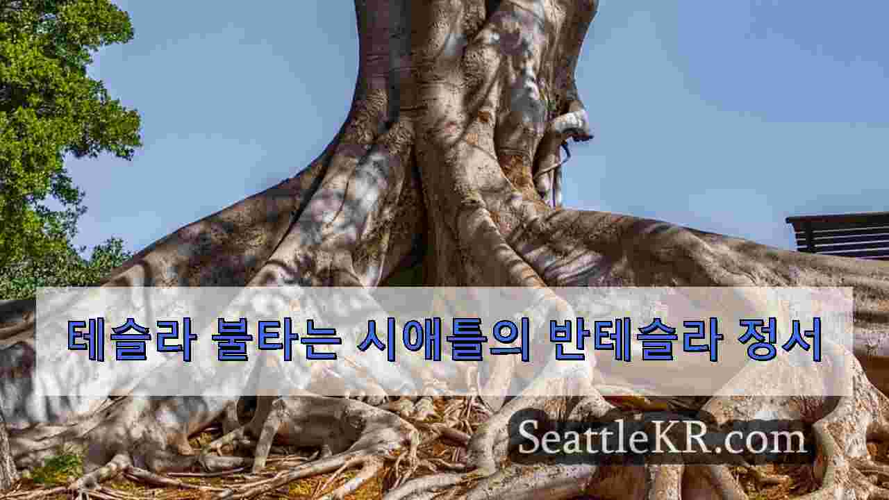 시애틀 뉴스 SeattleKR