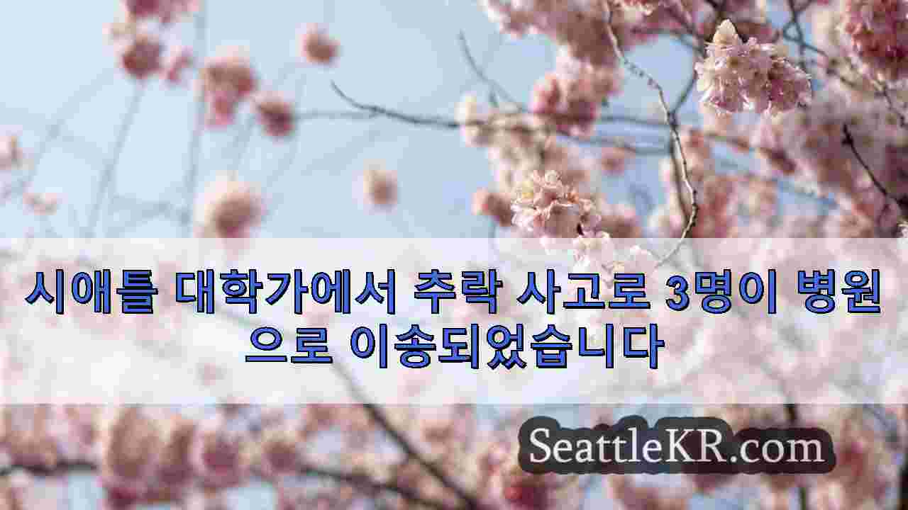 시애틀 뉴스 SeattleKR