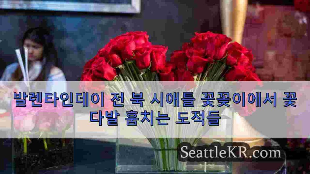 발렌타인데이 전 북 시애틀 꽃꽂이에서 꽃다발 훔치는 도적들