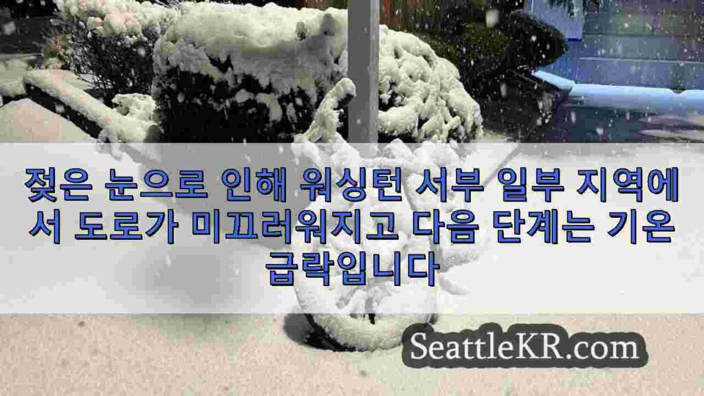 젖은 눈으로 인해 워싱턴 서부 일부 지역에서 도로가 미끄러워지고 다음