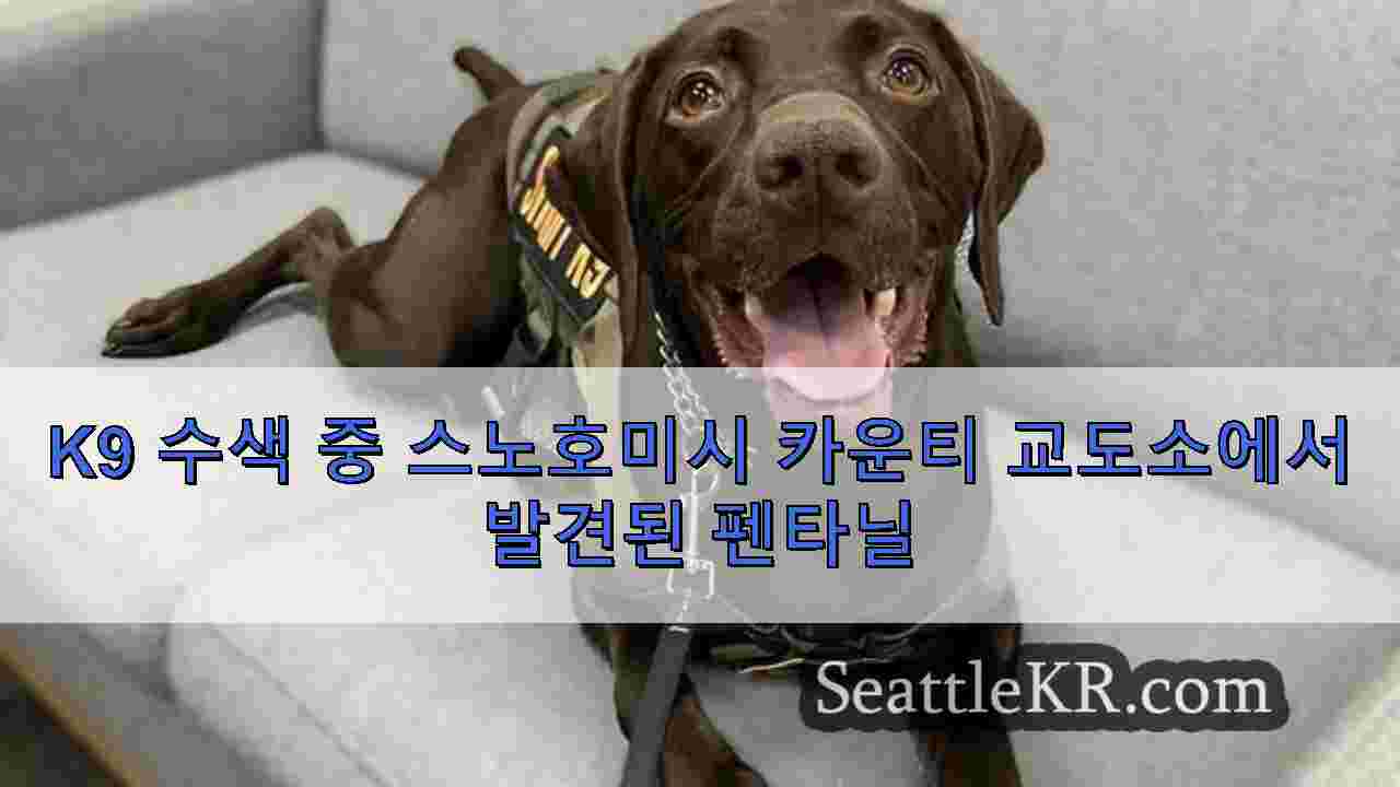 시애틀 뉴스 SeattleKR