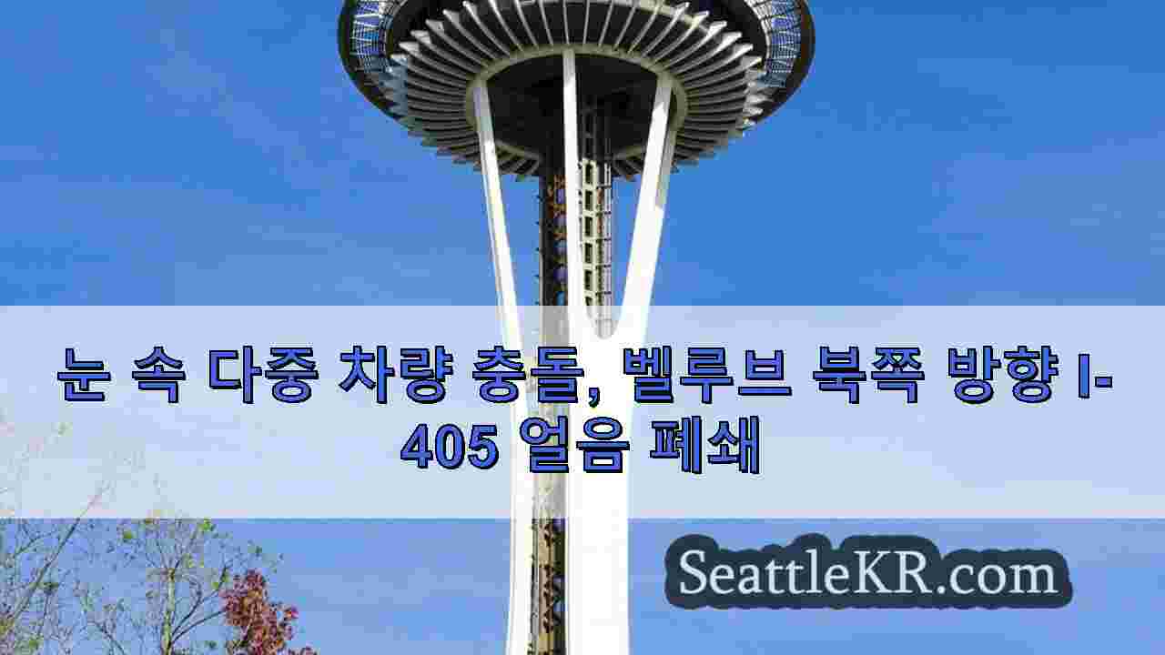 시애틀 뉴스 SeattleKR