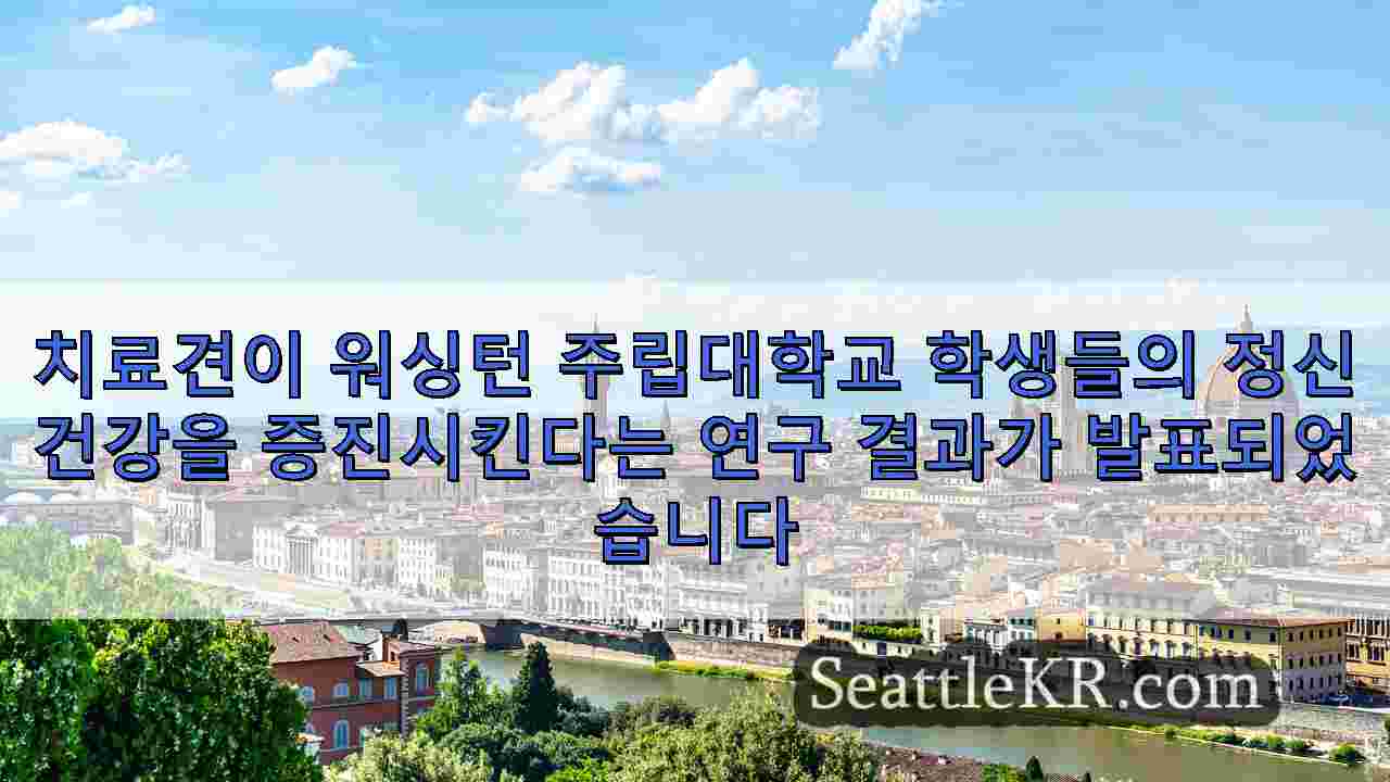 시애틀 뉴스 SeattleKR