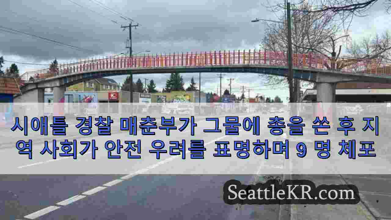 시애틀 뉴스 SeattleKR
