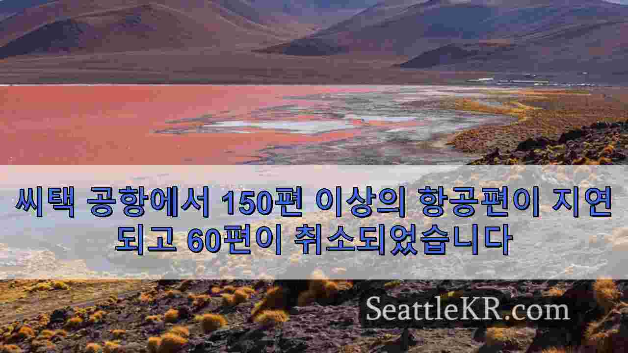 시애틀 뉴스 SeattleKR