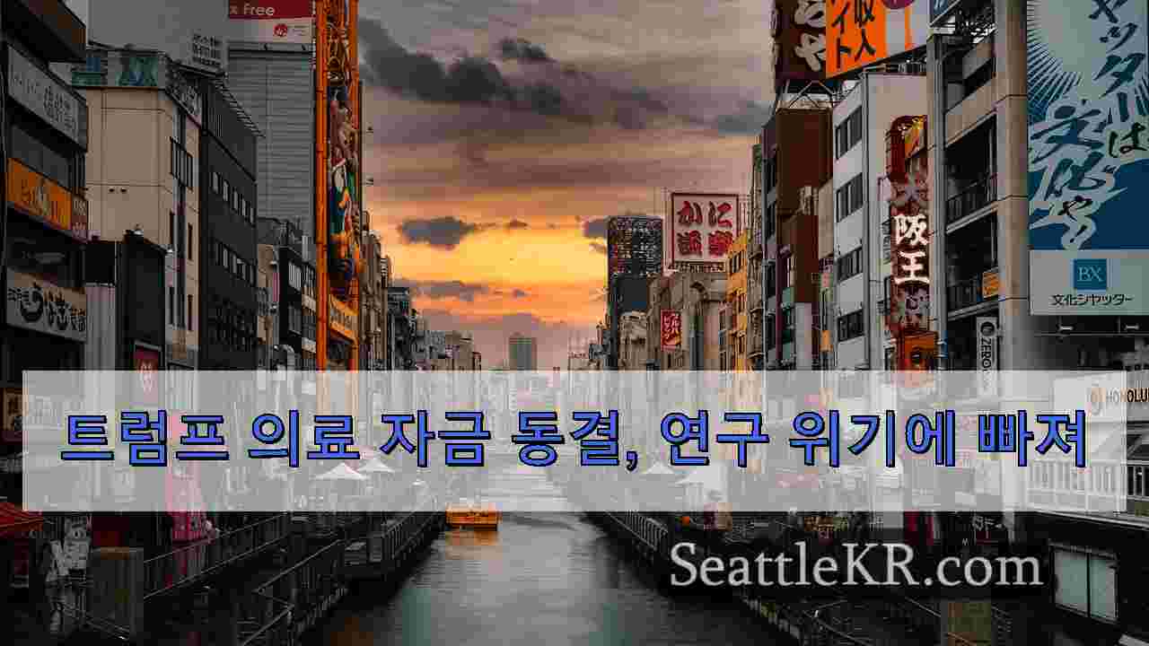 시애틀 뉴스 SeattleKR
