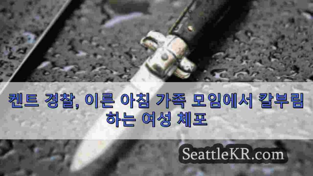 켄트 경찰, 이른 아침 가족 모임에서 칼부림하는 여성 체포