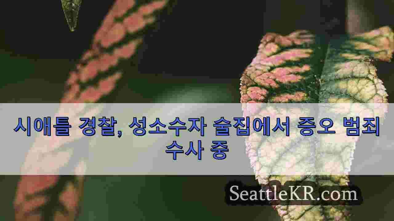 시애틀 뉴스 SeattleKR