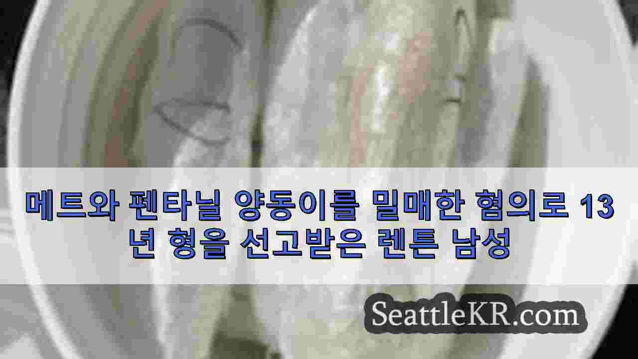 시애틀 뉴스 SeattleKR