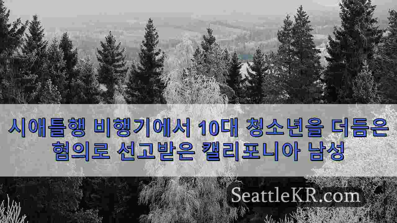 시애틀 뉴스 SeattleKR