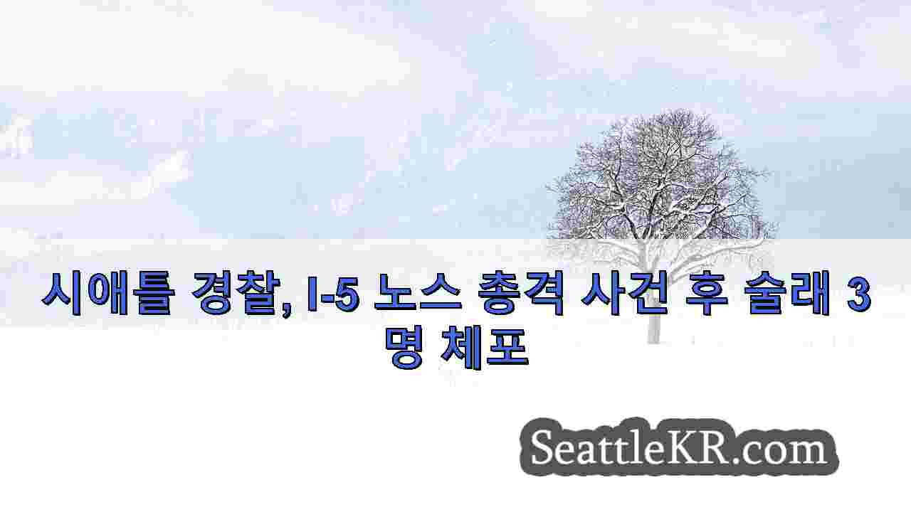시애틀 뉴스 SeattleKR