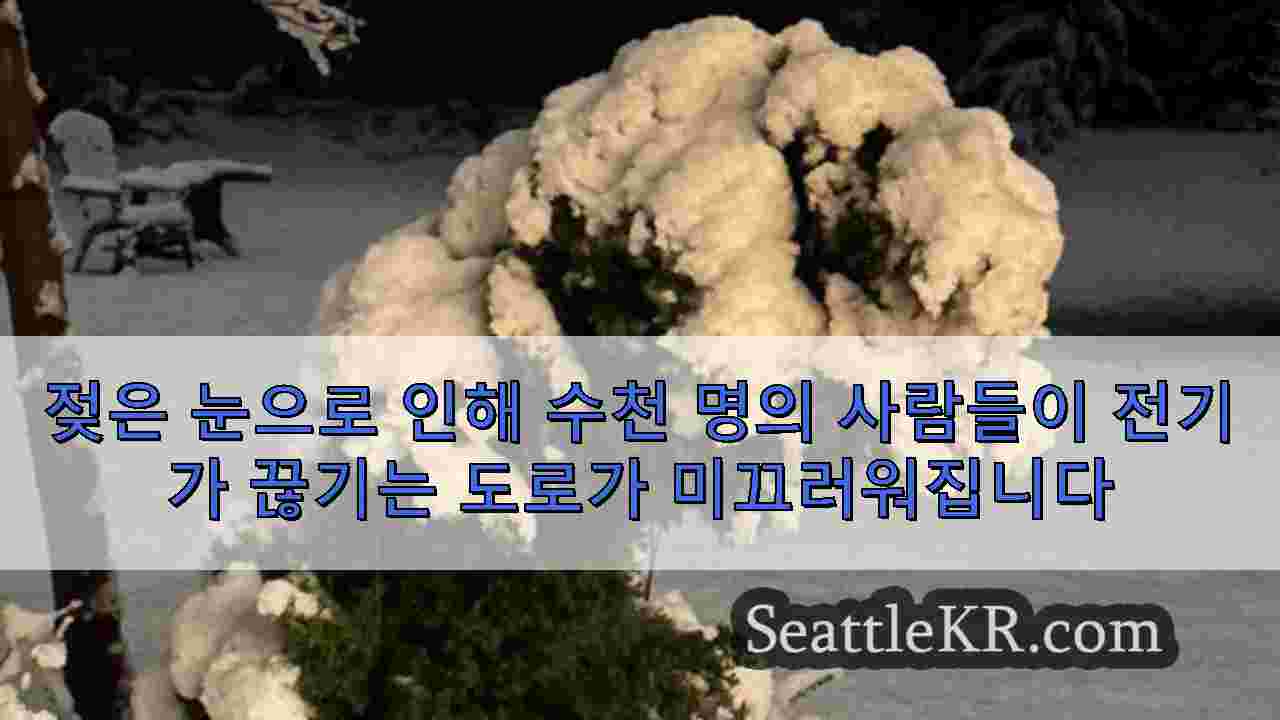 시애틀 뉴스 SeattleKR