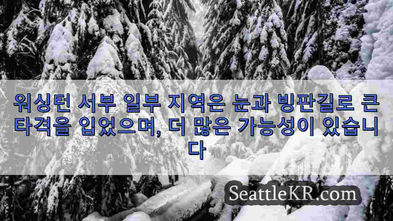 시애틀 뉴스 SeattleKR