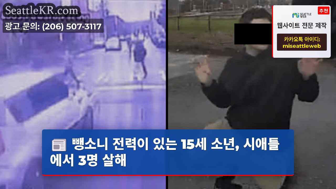 뺑소니 전력이 있는 15세 소년, 시애틀에서 3명 살해