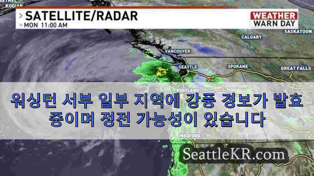 시애틀 뉴스 SeattleKR