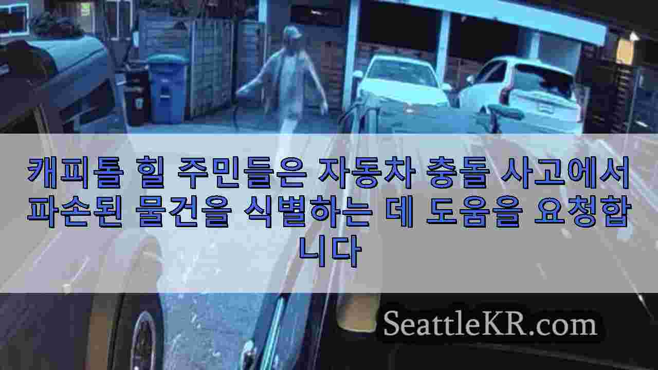시애틀 뉴스 SeattleKR