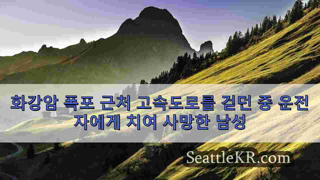 시애틀 뉴스 SeattleKR
