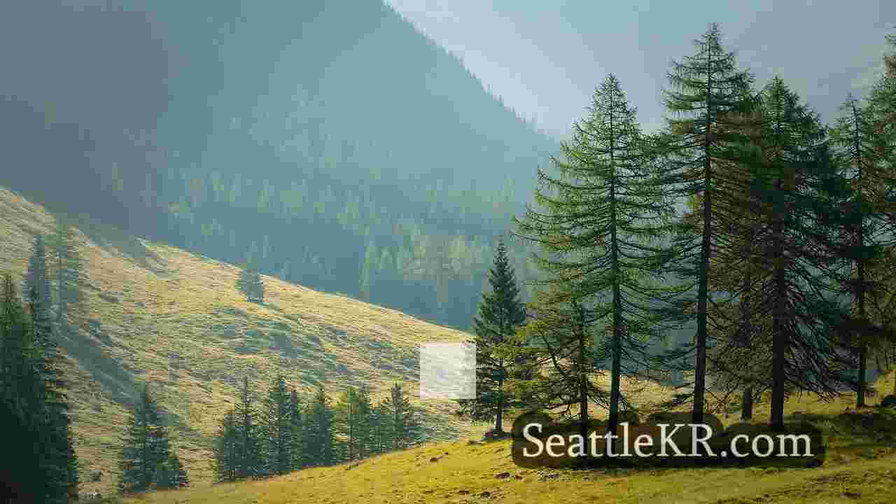 시애틀 뉴스 SeattleKR