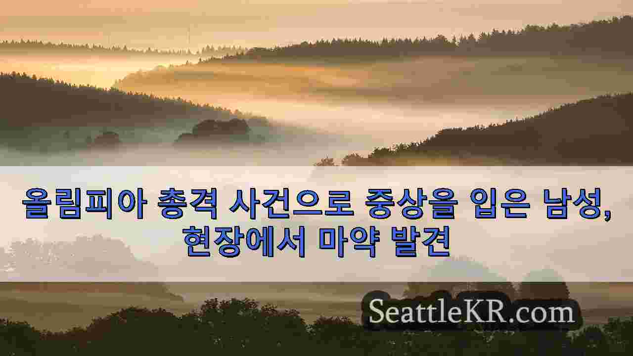 시애틀 뉴스 SeattleKR