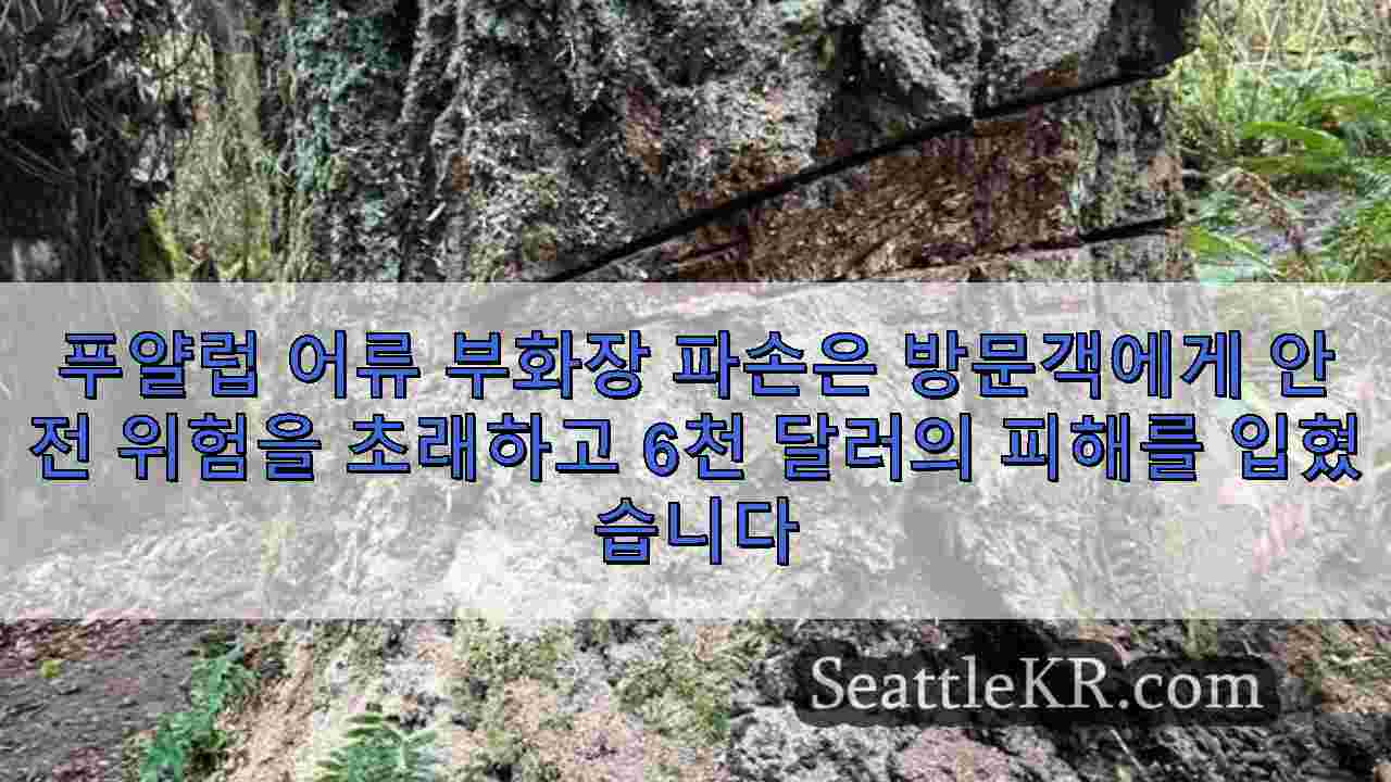 시애틀 뉴스 SeattleKR