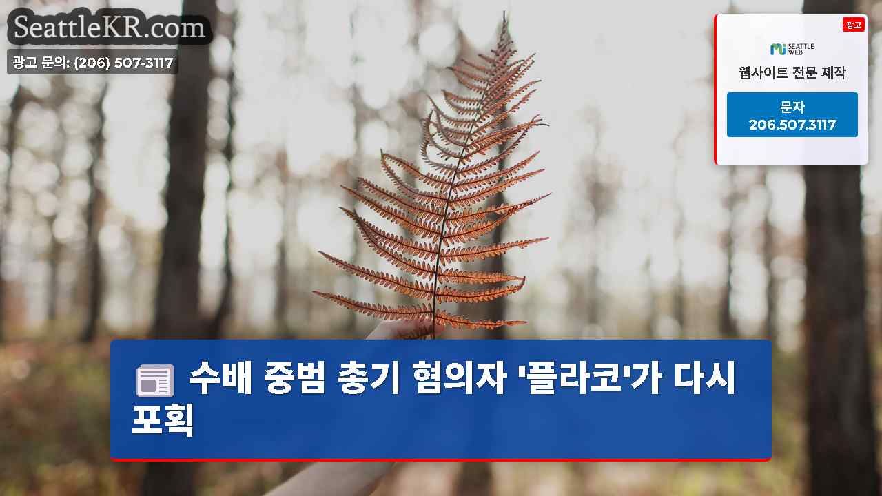 시애틀 뉴스 SeattleKR