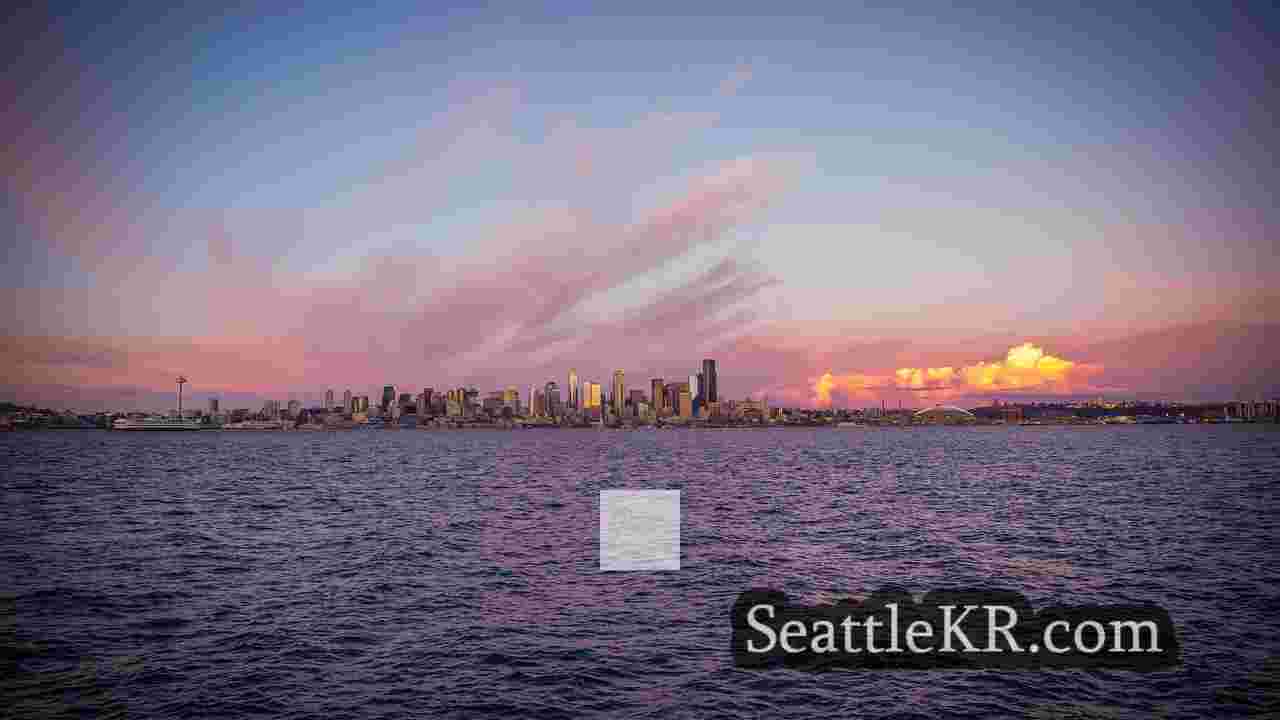 시애틀 뉴스 SeattleKR