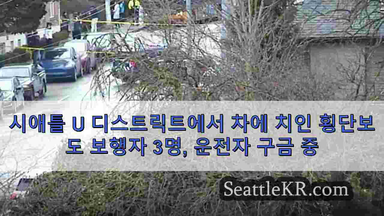 시애틀 뉴스 SeattleKR