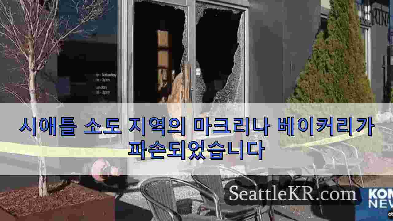 시애틀 뉴스 SeattleKR