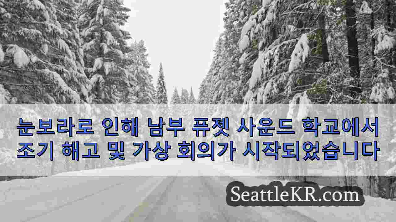 시애틀 뉴스 SeattleKR