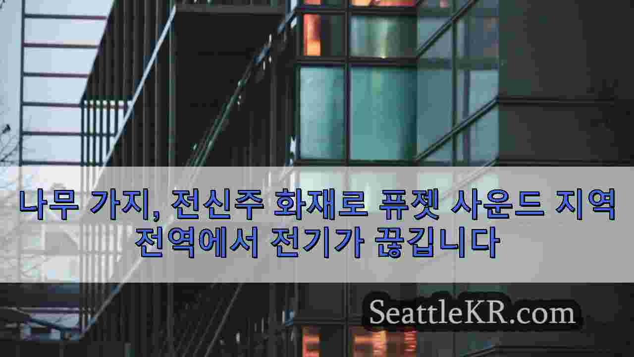 시애틀 뉴스 SeattleKR